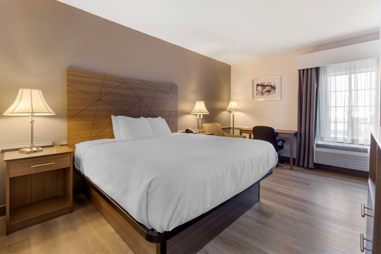 Best Western Plus South Hill Inn Buitenkant foto